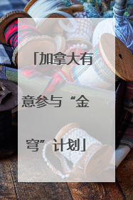 加拿大有意参与“金穹”计划