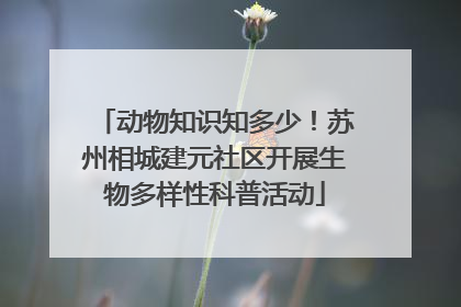 动物知识知多少！苏州相城建元社区开展生物多样性科普活动