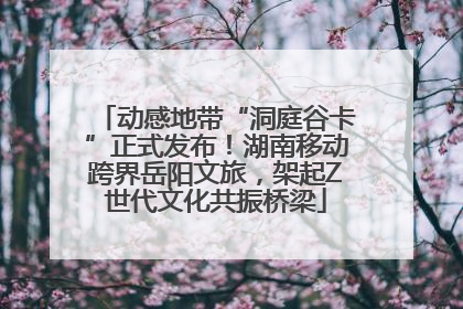 动感地带“洞庭谷卡”正式发布！湖南移动跨界岳阳文旅，架起Z世代文化共振桥梁