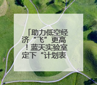 助力低空经济“飞”更高！蓝天实验室定下“计划表”→