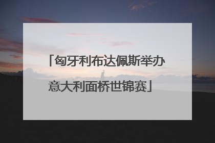 匈牙利布达佩斯举办意大利面桥世锦赛