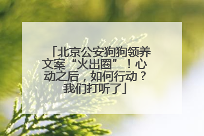 北京公安狗狗领养文案“火出圈”！心动之后，如何行动？我们打听了