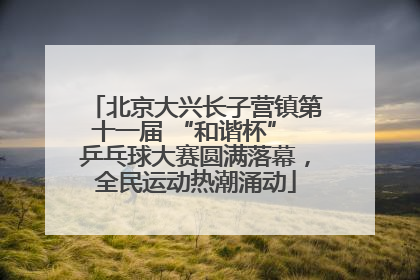 北京大兴长子营镇第十一届 “和谐杯” 乒乓球大赛圆满落幕，全民运动热潮涌动