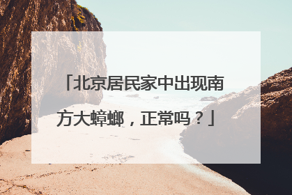 北京居民家中出现南方大蟑螂，正常吗？
