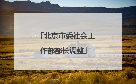 北京市委社会工作部部长调整