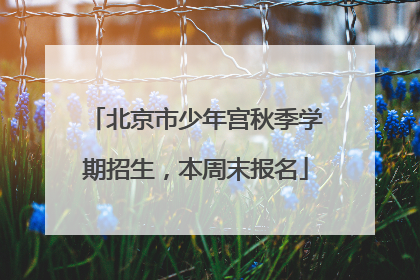 北京市少年宫秋季学期招生，本周末报名