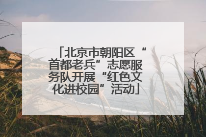 北京市朝阳区“首都老兵”志愿服务队开展“红色文化进校园”活动
