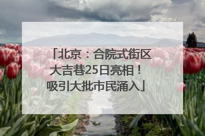 北京：合院式街区大吉巷25日亮相！吸引大批市民涌入