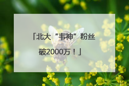 北大“韦神”粉丝破2000万！