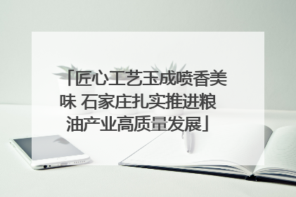 匠心工艺玉成喷香美味 石家庄扎实推进粮油产业高质量发展