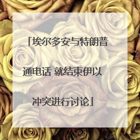 埃尔多安与特朗普通电话 就结束伊以冲突进行讨论