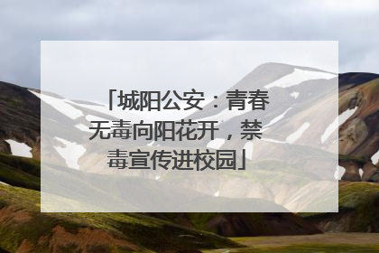 城阳公安：青春无毒向阳花开，禁毒宣传进校园