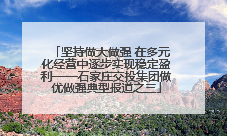 坚持做大做强 在多元化经营中逐步实现稳定盈利——石家庄交投集团做优做强典型报道之三