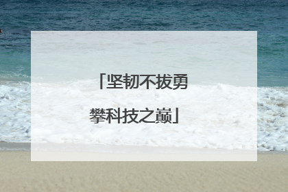坚韧不拔勇攀科技之巅