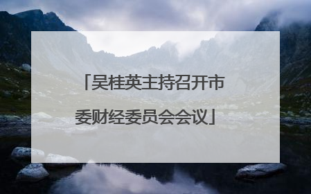 吴桂英主持召开市委财经委员会会议