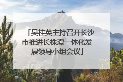 吴桂英主持召开长沙市推进长株潭一体化发展领导小组会议
