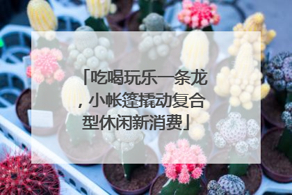 吃喝玩乐一条龙，小帐篷撬动复合型休闲新消费