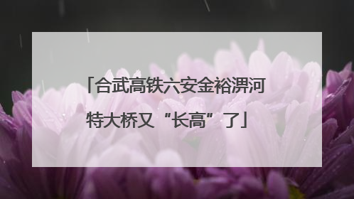 合武高铁六安金裕淠河特大桥又“长高”了