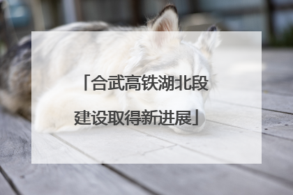 合武高铁湖北段建设取得新进展