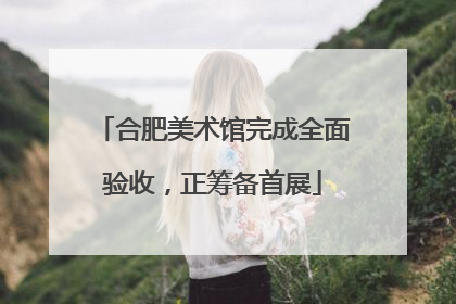 合肥美术馆完成全面验收，正筹备首展