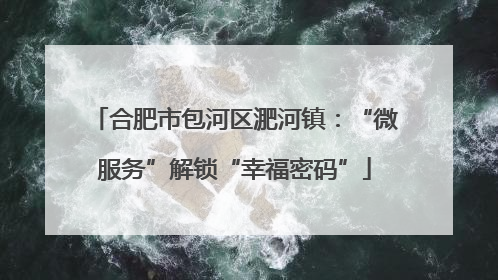 合肥市包河区淝河镇：“微服务”解锁“幸福密码”