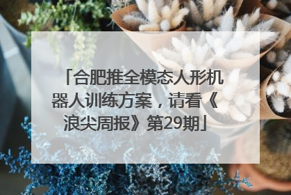 合肥推全模态人形机器人训练方案，请看《浪尖周报》第29期