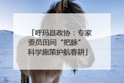 呼玛县政协：专家委员田间“把脉” 科学施策护航春耕