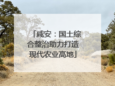 咸安：国土综合整治助力打造现代农业高地