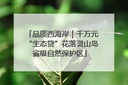 品质西海岸｜千万元“生态贷”花落灵山岛省级自然保护区