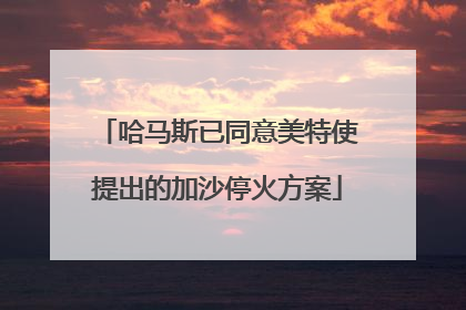 哈马斯已同意美特使提出的加沙停火方案