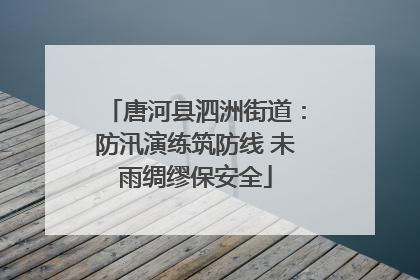 唐河县泗洲街道：防汛演练筑防线 未雨绸缪保安全