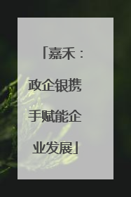 嘉禾：政企银携手赋能企业发展