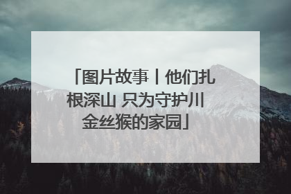 图片故事丨他们扎根深山 只为守护川金丝猴的家园