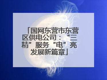 国网东营市东营区供电公司：“三精”服务“电”亮发展新篇章