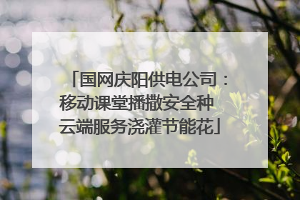 国网庆阳供电公司：移动课堂播撒安全种 云端服务浇灌节能花