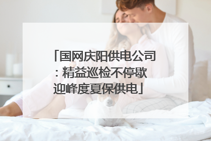 国网庆阳供电公司：精益巡检不停歇 迎峰度夏保供电