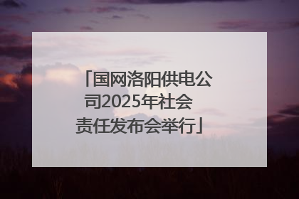 国网洛阳供电公司2025年社会责任发布会举行