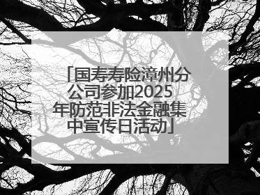国寿寿险漳州分公司参加2025年防范非法金融集中宣传日活动
