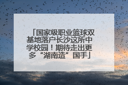 国家级职业篮球双基地落户长沙这所中学校园！期待走出更多“湖南造”国手