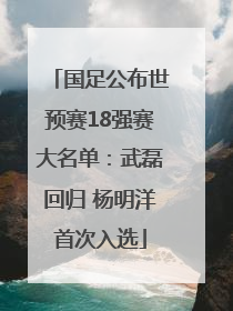 国足公布世预赛18强赛大名单：武磊回归 杨明洋首次入选