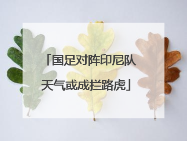 国足对阵印尼队 天气或成拦路虎