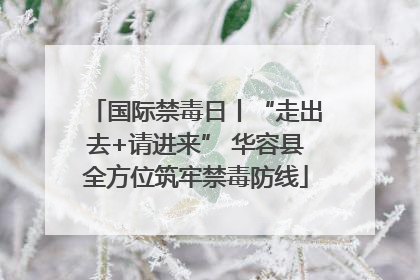 国际禁毒日丨“走出去+请进来” 华容县全方位筑牢禁毒防线