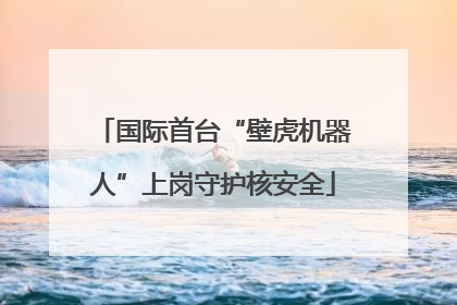 国际首台“壁虎机器人”上岗守护核安全