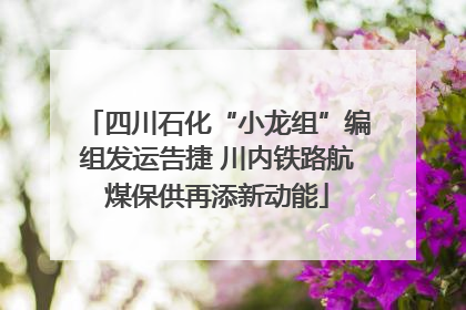 四川石化“小龙组”编组发运告捷 川内铁路航煤保供再添新动能