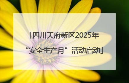 四川天府新区2025年“安全生产月”活动启动