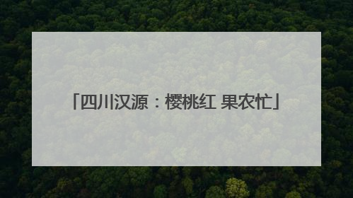 四川汉源：樱桃红 果农忙