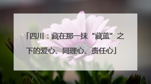 四川：藏在那一抹“藏蓝”之下的爱心、同理心、责任心