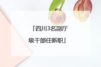 四川3名副厅级干部任新职
