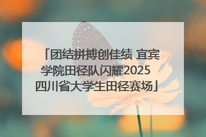 团结拼搏创佳绩 宜宾学院田径队闪耀2025四川省大学生田径赛场