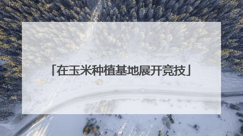 在玉米种植基地展开竞技